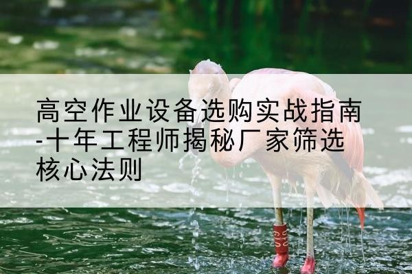 民权剪叉式升降机厂家-高空作业设备选购实战指南-十年工程师揭秘厂家筛选核心法则