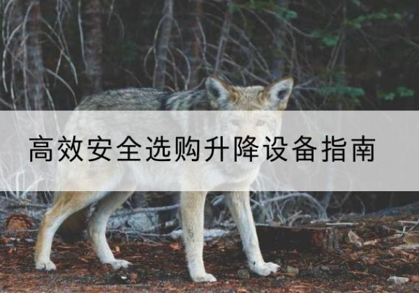 民权升降货梯厂家推荐-*安全选购升降设备指南