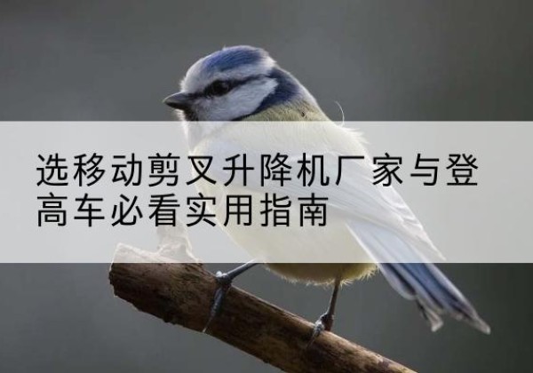 民权电动升降机厂家-选移动剪叉升降机厂家与登高车必看实用指南