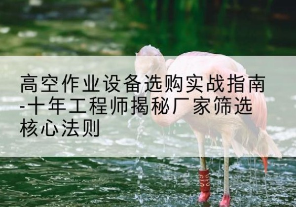民权剪叉式升降机厂家-高空作业设备选购实战指南-十年工程师揭秘厂家筛选核心法则